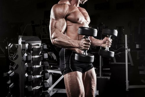 Les stéroïdes et leur influence sur l'équilibre entre les protéines et les glucides dans l'alimentation sportive